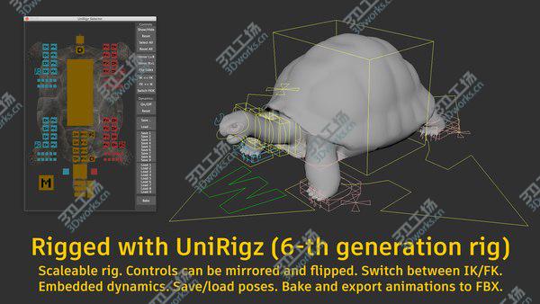 images/goods_img/20210312/Giant  Tortoise Animated model/4.jpg